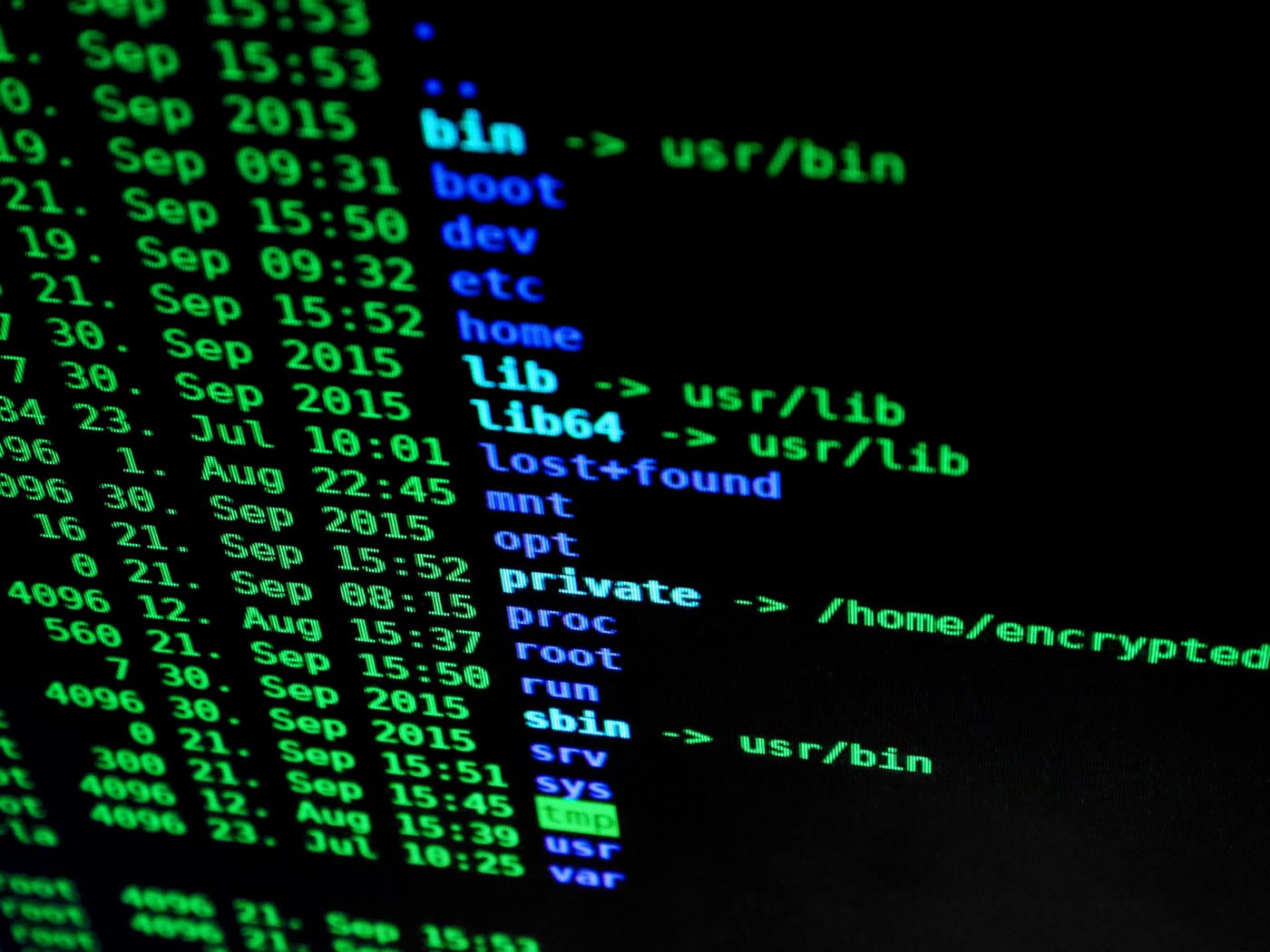 Cyber Security Services from Oldfield Builds